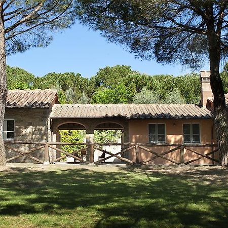 Podere Poggio Mendico Arezzo Exteriör bild