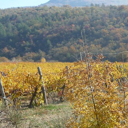 Podere Poggio Mendico Arezzo Exteriör bild
