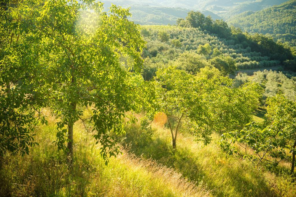 Podere Poggio Mendico Arezzo Exteriör bild