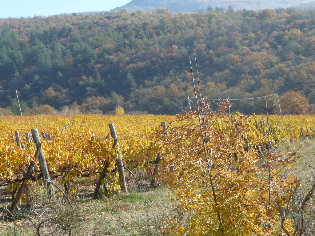Podere Poggio Mendico Arezzo Exteriör bild