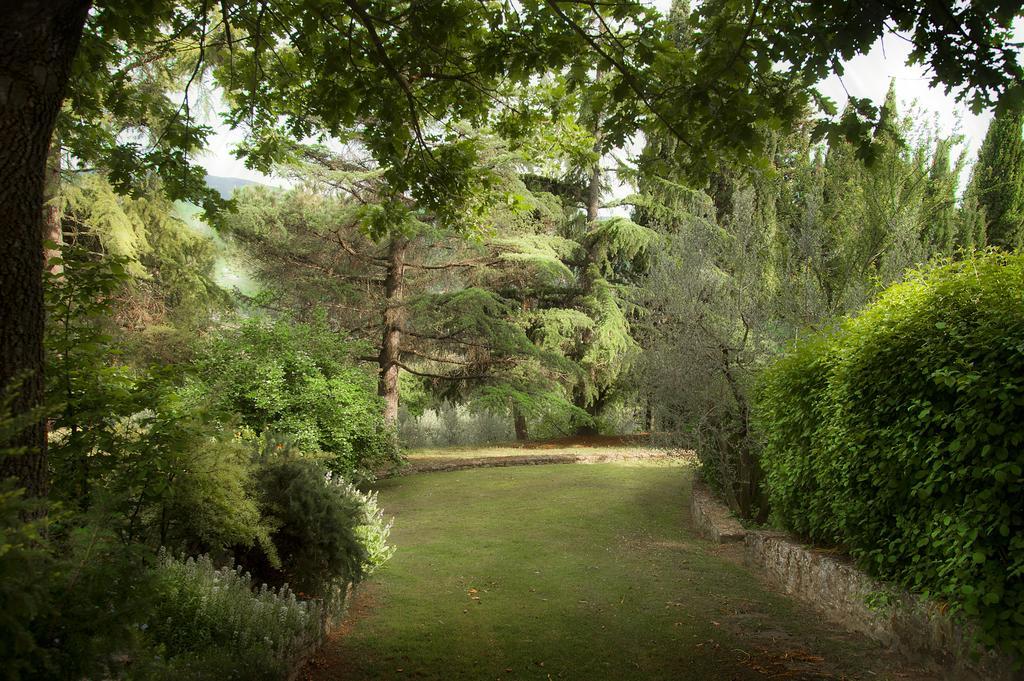 Podere Poggio Mendico Arezzo Exteriör bild